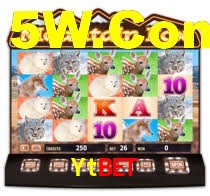 Premium Interface Ytbet