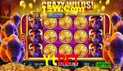 Ytbet Curitiba - Live Betting